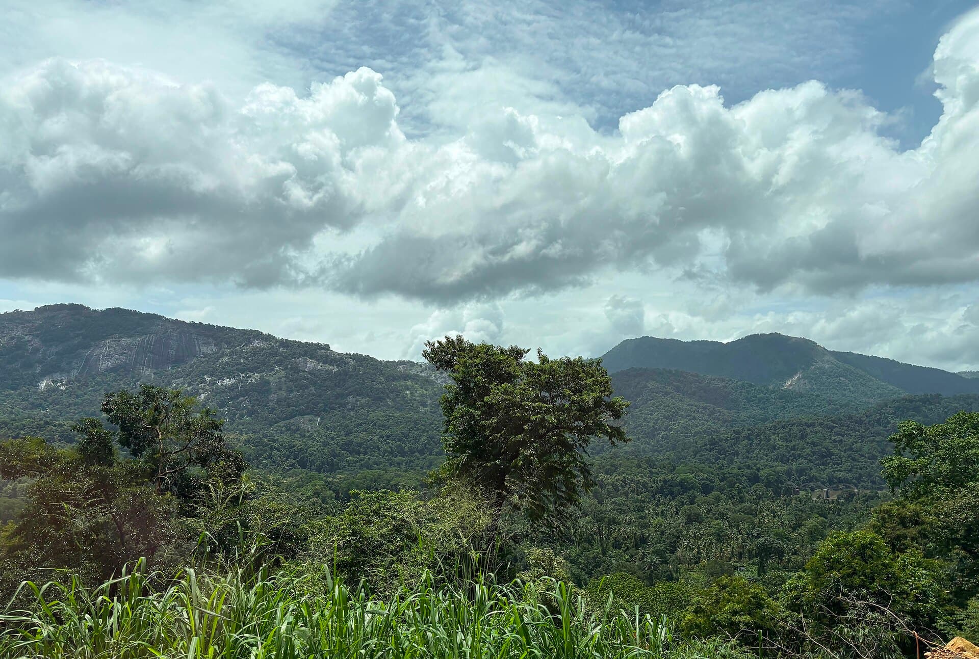Forested Sahyadri hills under a cloudy sky